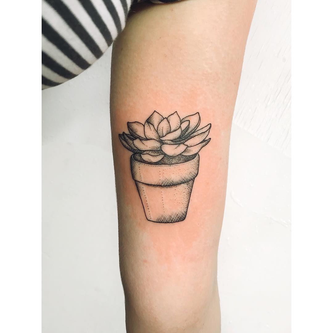 Potted succulent tattoo