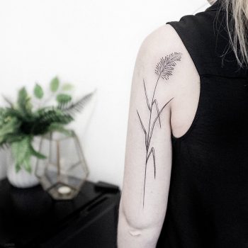 Reed tattoo on the arm