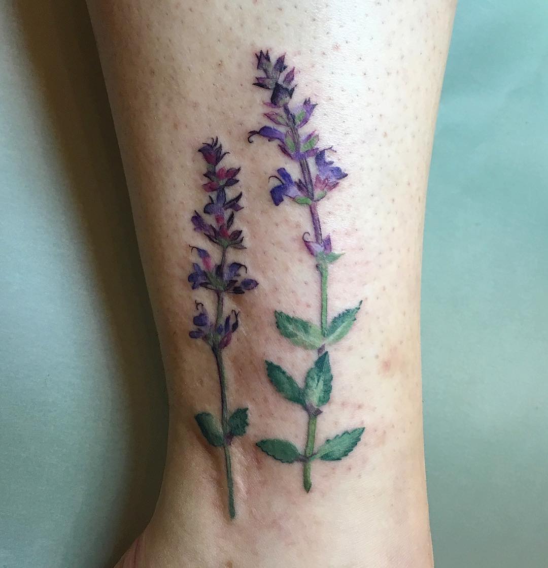 Salvia plant tattoo