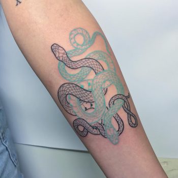 Teal and black snake