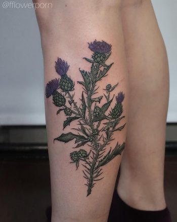 Thistle tattoo