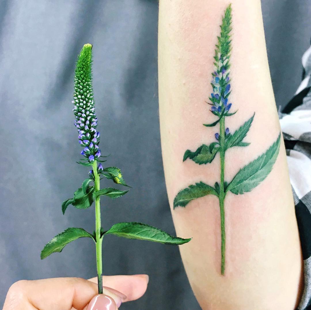 Veronica flower tattoo
