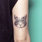 Hand poked sleepy cat portrait tattoo on the arm