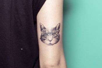 Hand poked sleepy cat portrait tattoo on the arm