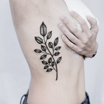 Black branch with leaves by dogma noir