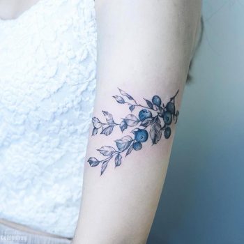 Blueberries by estelle