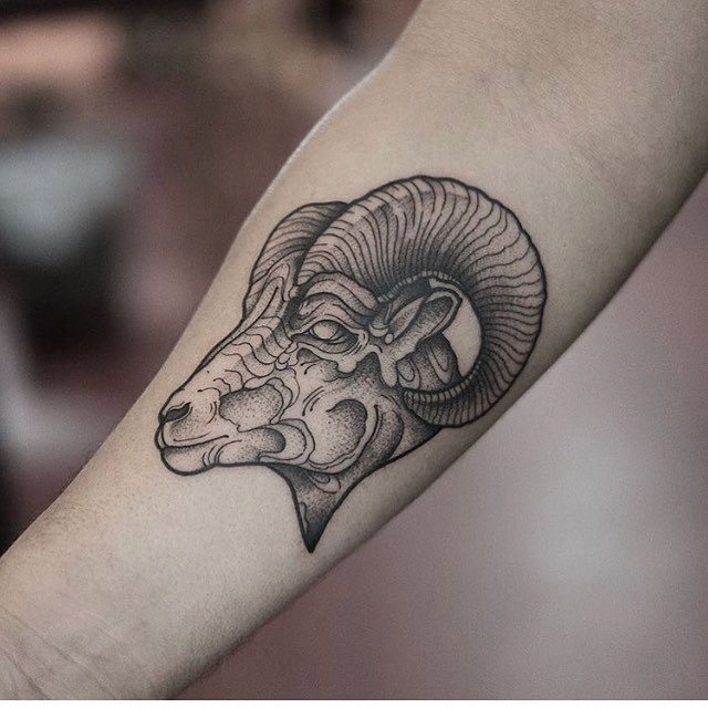 Capra tattoo by jonas ribeiro