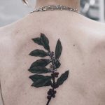 Coffee plant tattoo