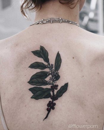 Coffee plant tattoo