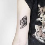Conch tattoo by hugo