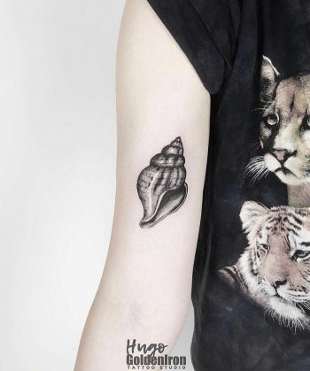 Conch tattoo by hugo