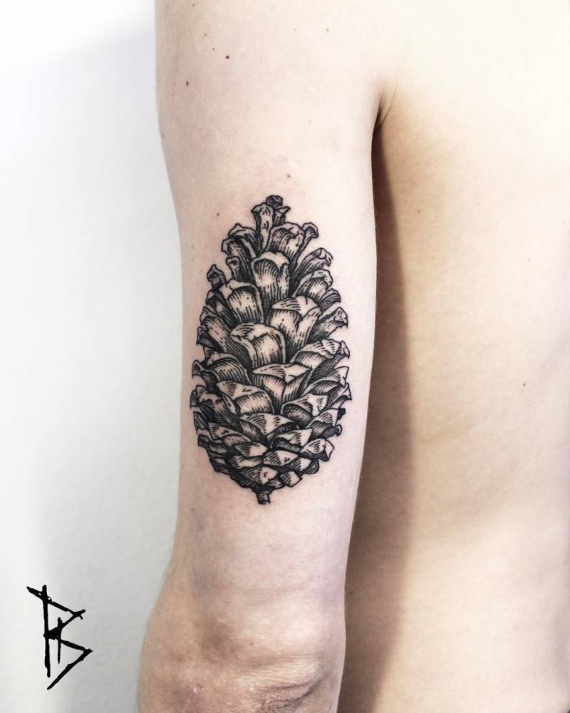 Conifer cone tattoo by loïc lebeuf