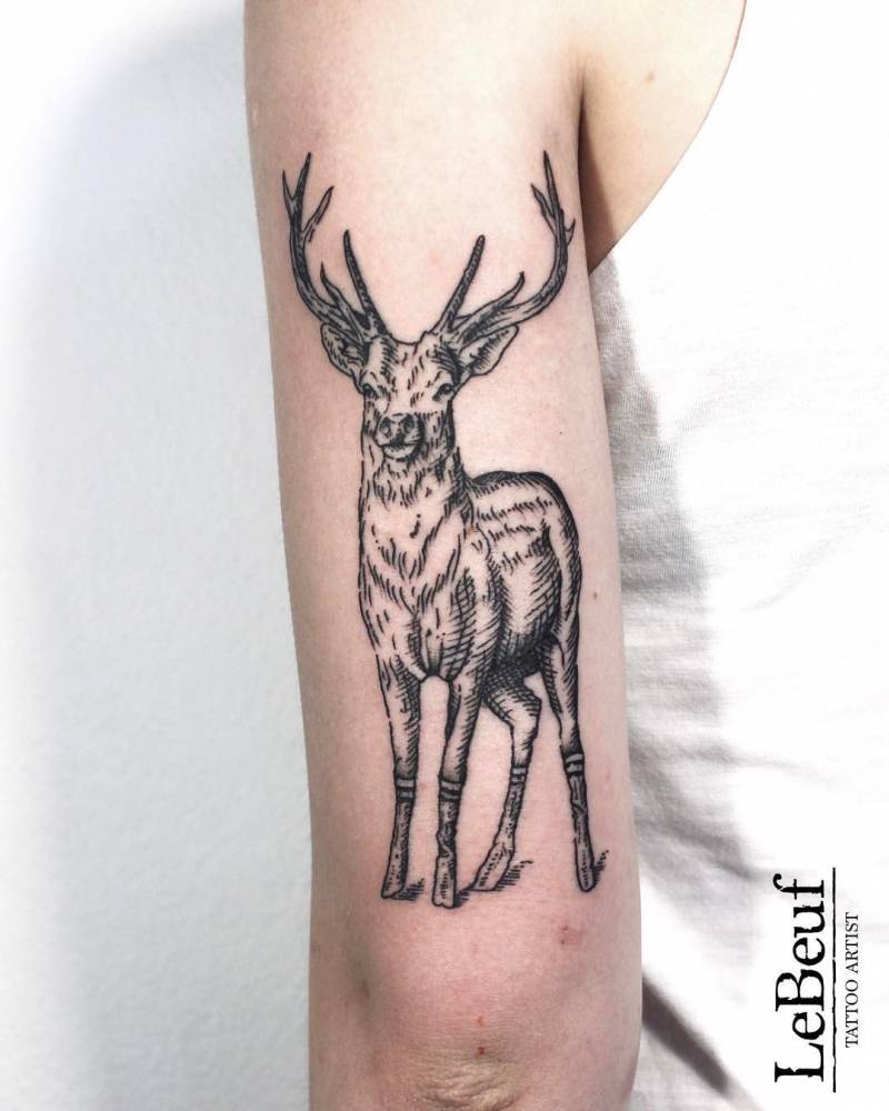 Deer tattoo by loïc lebeuf