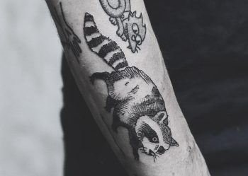 Fun raccoon tattoo by kyle kyo koko
