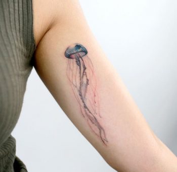 Jellyfish tattoo by tattooist doy