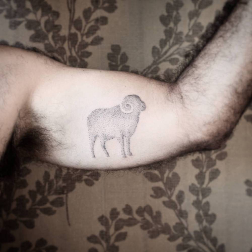 Light sheep tattoo by thiago corrêa