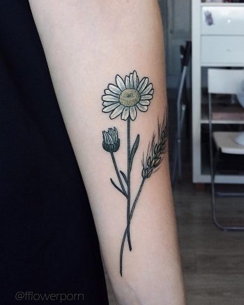 Little chamomile tattoo