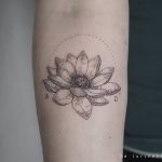 Lotus flower by be lucchesi