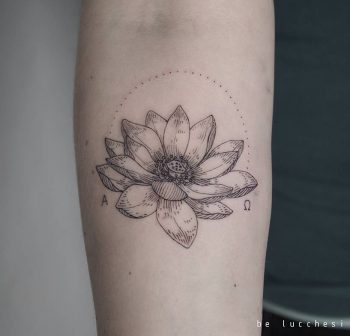 Lotus flower by be lucchesi