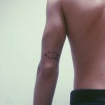 Mini pig tattoo on the arm