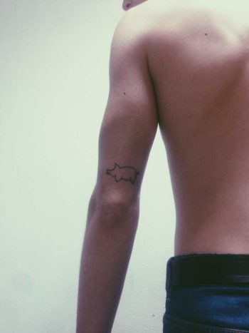 Mini pig tattoo on the arm