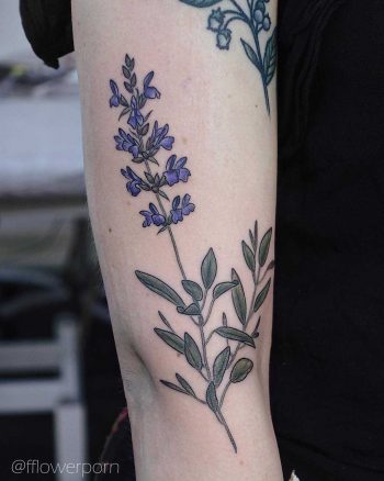 Sage tattoo