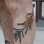 Sea buckthorn tattoo on the calf