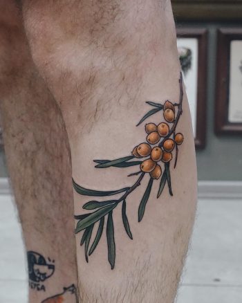 Sea buckthorn tattoo on the calf