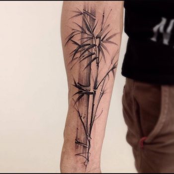 Sketchy bamboo tattoo