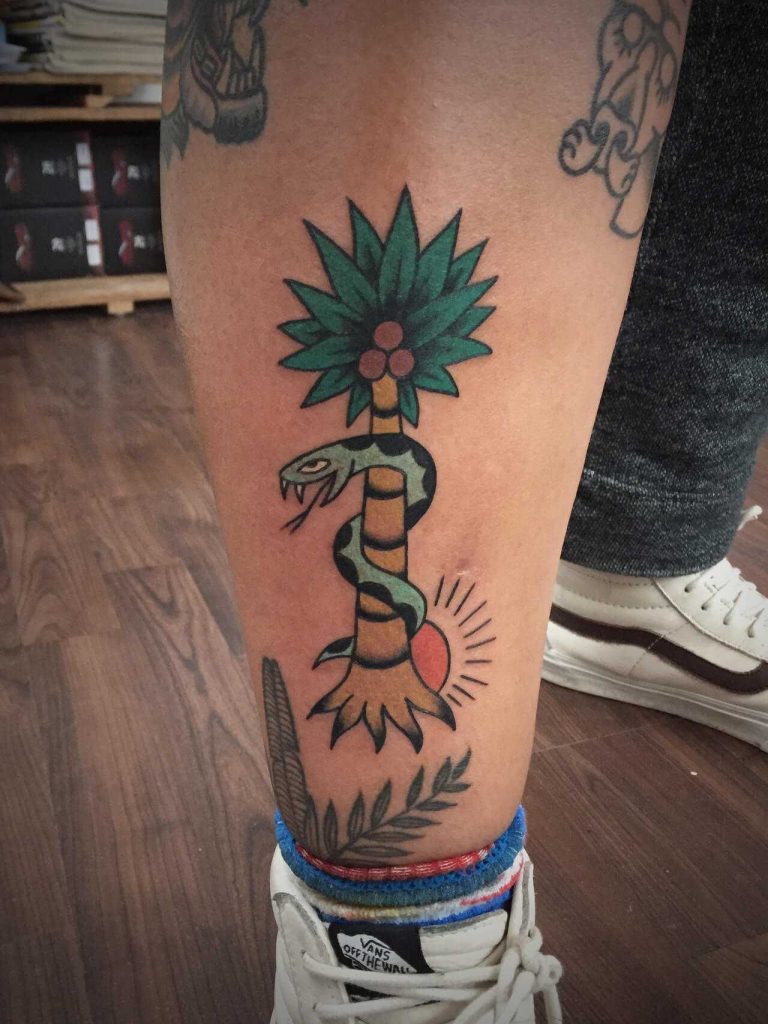 Snake and palm tree