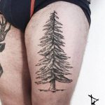 Spruce tree tattoo by loïc lebeuf