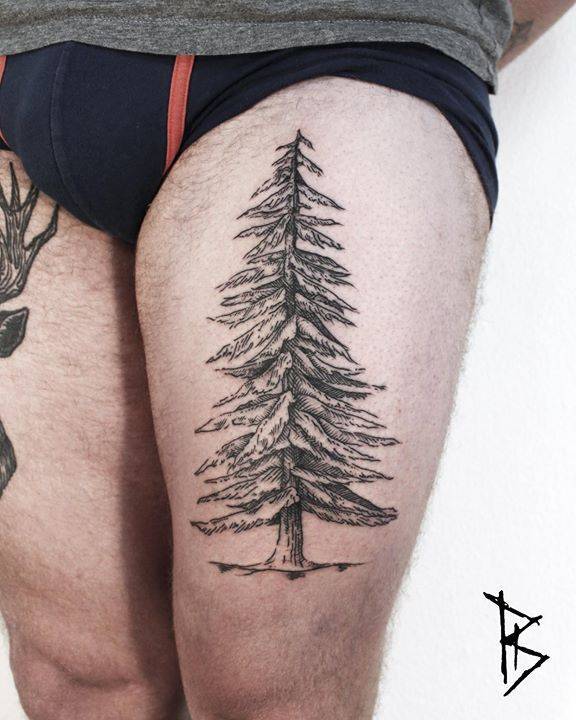Spruce tree tattoo by loïc lebeuf