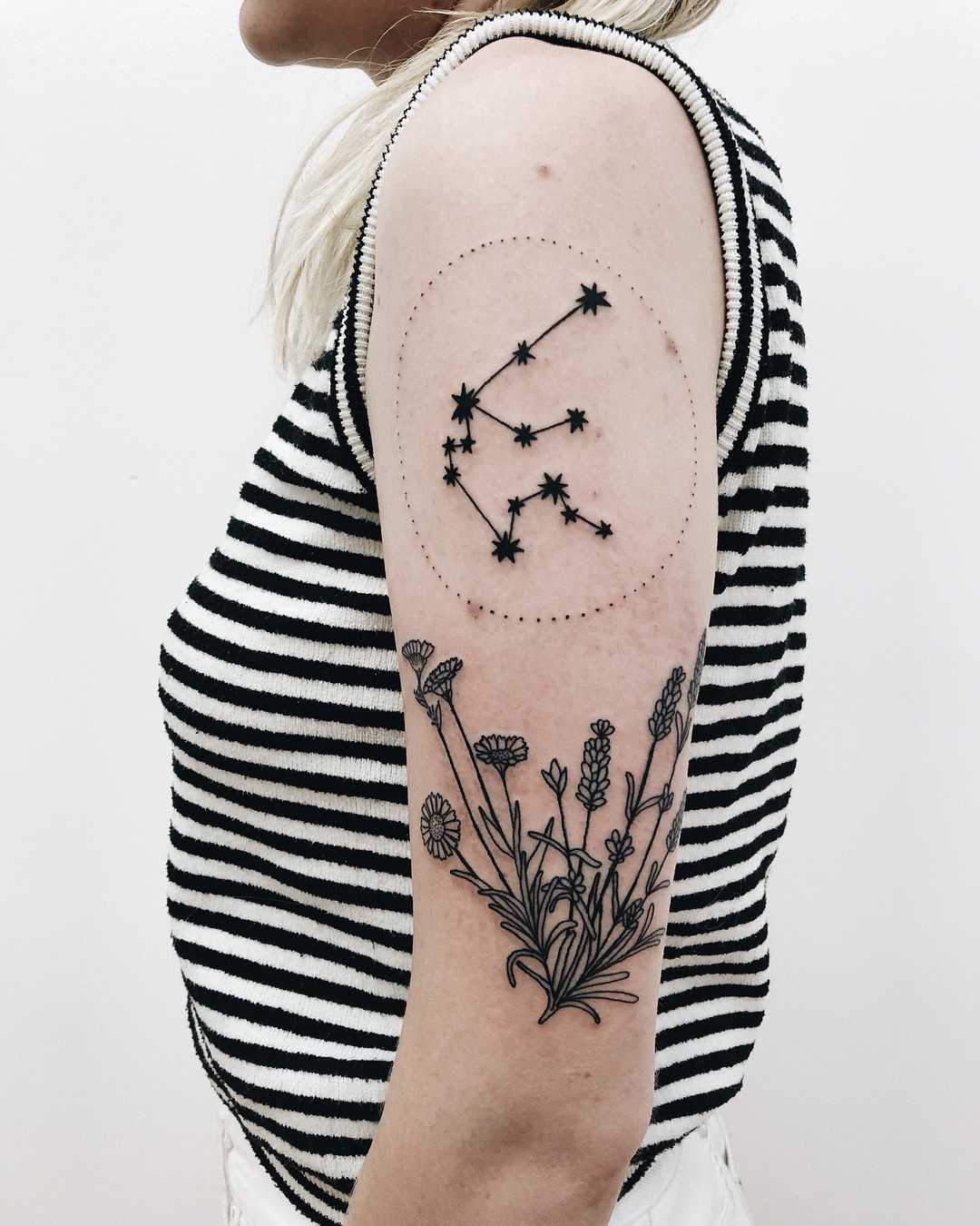 Aquarius constellation and wild flowers
