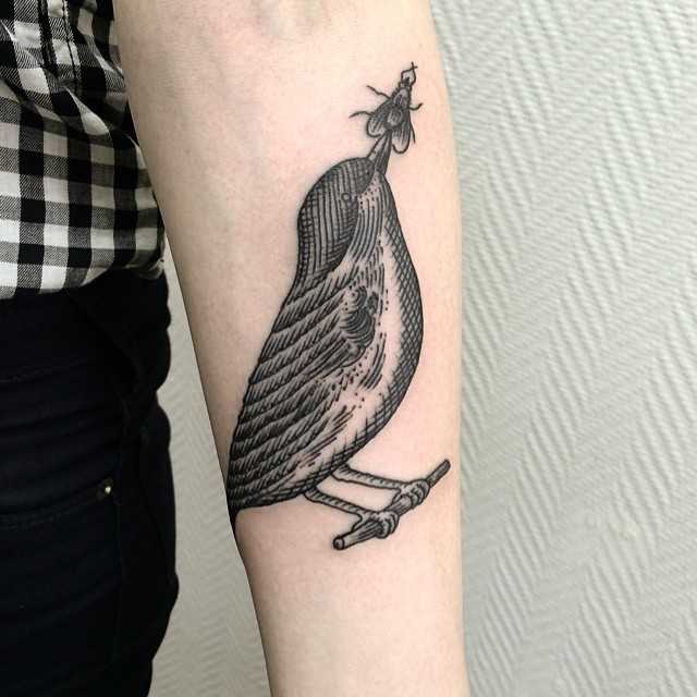 Bird and fly tattoo
