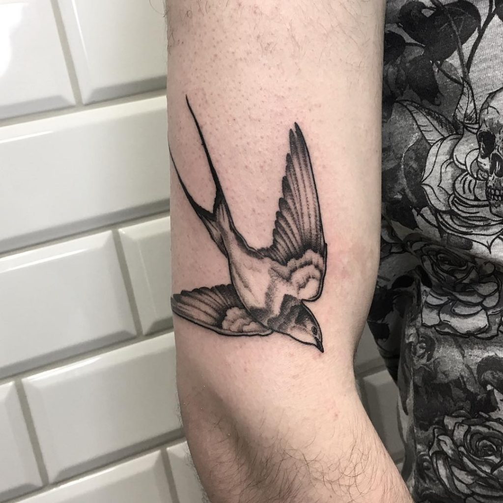 Oystercatcher tattoo by tattooist pokeeeeeeeoh