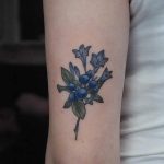 Blueberry with agapanthus flowers tattoo
