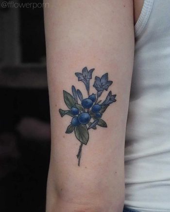 Blueberry with agapanthus flowers tattoo
