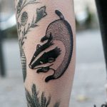 Cute badger tattoo