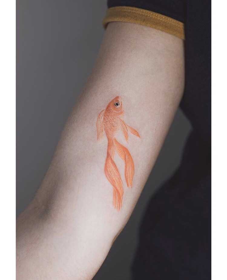 Golden fish tattoo on the forearm