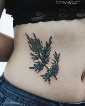 Juniper tattoo on the side