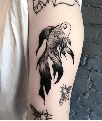 Koi fish by Bek