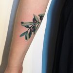 Olive branch tattoo by Sasha Unisex