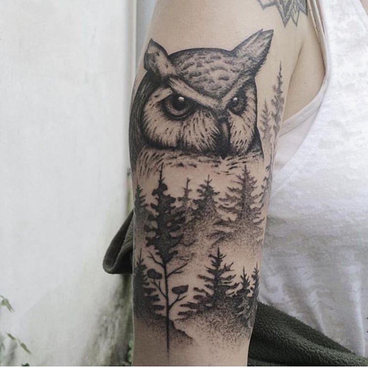 Owl and trees by Roald VD Broek