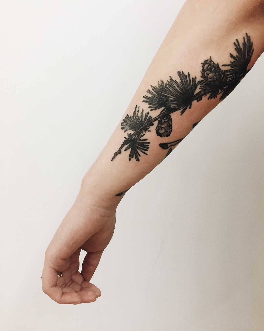 Pine cone branch tattoo