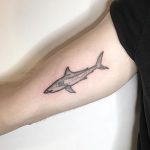 Shark tattoo by lisa pokes