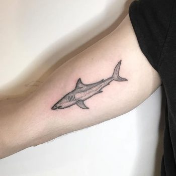 Shark tattoo by lisa pokes