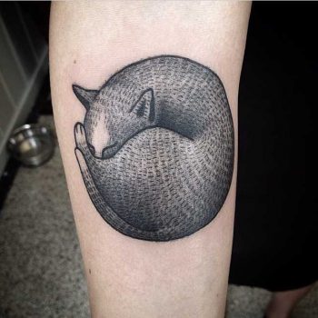 Sleeping dog by Susanne König