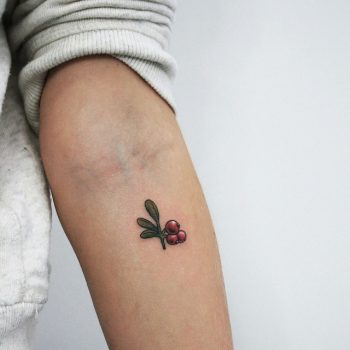 Small cranberries on the forearm