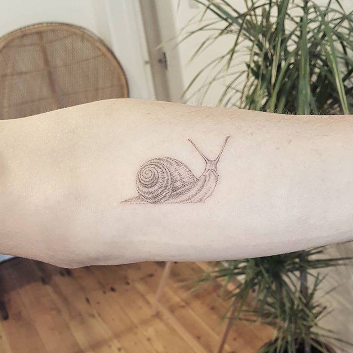 Snail tattoo by sarah march
