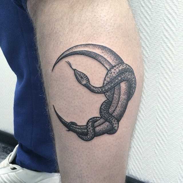 Snake wrapped around the moon